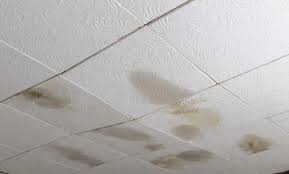 Replace Damaged Ceiling Tiles