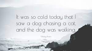 Notify me of new comments via email. Mickey Rivers Quote It Was So Cold Today That I Saw A Dog Chasing A Cat