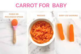 8 month old baby food chart recipes