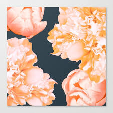 Maybe you would like to learn more about one of these? Peach Colored Flowers Dark Background Decor Society6 Buyart Canvas Print By Paivi Vikstrom Society6