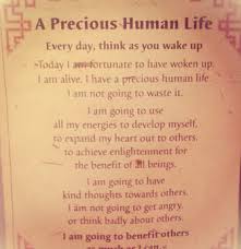Everyday, think as you wake up, today I am fortunate to be alive, I have a precious human life, I am not going to waste it. (Dalai Lama)