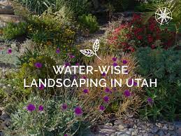 Water Wise Landscaping In Utah