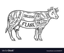Diagram Of Cow Cow Anatomy Diagram External Cow Diagram