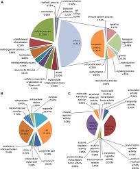 Pie Charts Showing Gene Ontology Go Classification Level