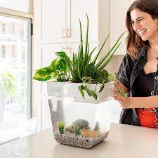 Premium Acrylic Water Garden Fish Tank