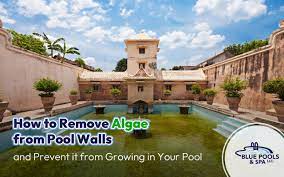 how to remove algae from pool walls