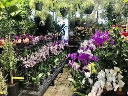 Potratz floral shop & greenhouses delivers flowers and gifts to the erie, pa area. Potratz Floral Shop Greenhouses Community Facebook
