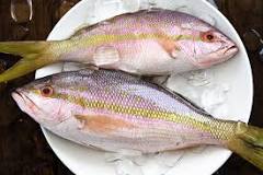 How much does yellowtail snapper cost?