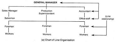 5 Main Types Of Organisation