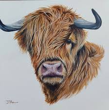 Highland Cow Original Acrylic Painting