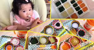 Thực Đơn Ăn Dặm Kiểu Nhật Theo Từng Tháng Tuổi Cho Bé 5-11 Tháng - Shop Mẹ  Việt