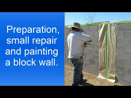Spray Painting Cinder Block Wall