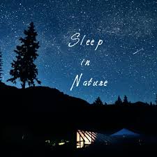 Sleep in Nature: Soundscapes for relaxation and meditation