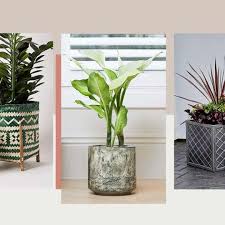 outdoor plant pots for your garden