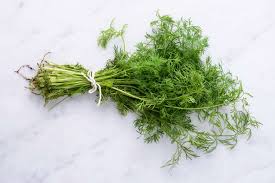 dill benefits side effects and