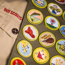 The subtitle is an unofficial practical guide to boy scouts for parents. Merit Badge Workbooks Troop 1954