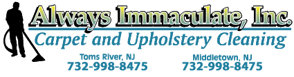carpet cleaning toms river
