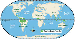 The tropical rainforest is located in four main regions or realms. Unit 5 Ecosystems Cbm Jose Antonio