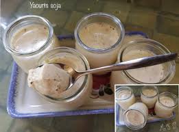 yaourt au lait de soja recette cookeo