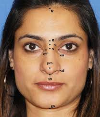 the indian nose an anthropometric