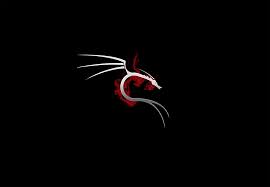 Also, the desktop background can be installed on any operation system: Kali Linux 4k Wallpapers Top Free Kali Linux 4k Backgrounds Wallpaperaccess