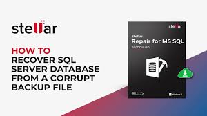 how to recover sql server database from