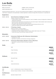 Business Analyst Roles And Responsibilities Resume