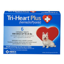 Tri Heart Plus Chewable 6 Mo Dog Heartworm Med Lambert Vet Supply