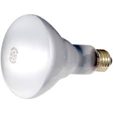 65w 120v Br30 Medium Base 610 Lumens Light Frost Indoor Flood 20000 Hour Incandescent Lamp Fastenal