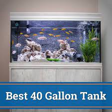 best 40 gallon fish tank in 2023