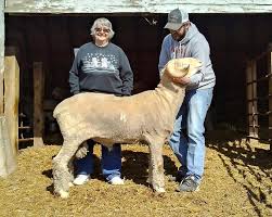 American Rambouillet Sheep Breeders Association - Home | Facebook