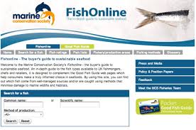 Site Of Sustainability Fishonline Al Jazeera