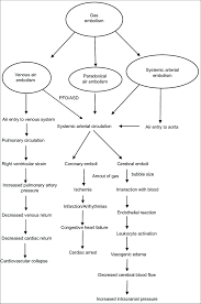 Pathophysiology Of Air Embolism Pfo Patent Foramen Ovale