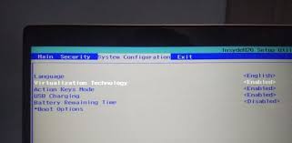 how to enable intel vt x amd v in