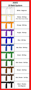 Karate Belt Color Chart Bedowntowndaytona Com
