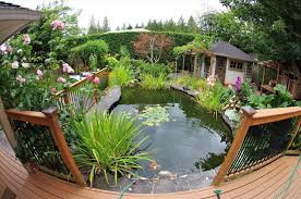 3 Benefits Of Building A Garden Pond In