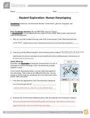 Gizmo student exploration human karyotyping answers •use the left and right arrows to compare the chromosome you picked with chromosomes 1 through 22 and also with x and y. Kami Export Human Karyotyping Pdf Name Date Student Exploration Human Karyotyping Vocabulary Autosome Chromosomal Disorder Chromosome Genome Course Hero