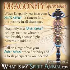 dragonfly symbolism meaning spirit