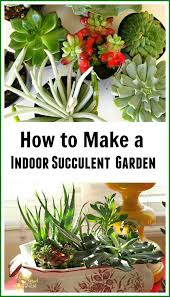 How To Make An Indoor Succulent Dish Garden