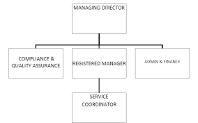 Organisational Structure Icrit Healthcare