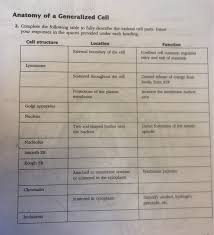 Solved Anatomy Of A Generalized Cell 2 Complete The Foll