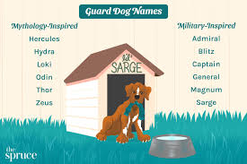 80 guard dog names