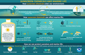 Skincare Chemicals And Marine Life