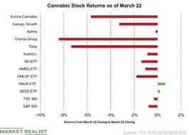 Cannabis Science Stock Predictions