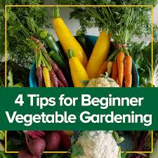 bagr 89 vegetable gardening for