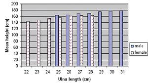 Bar Chart Relating Ulna Length And Mean Height Of Males And