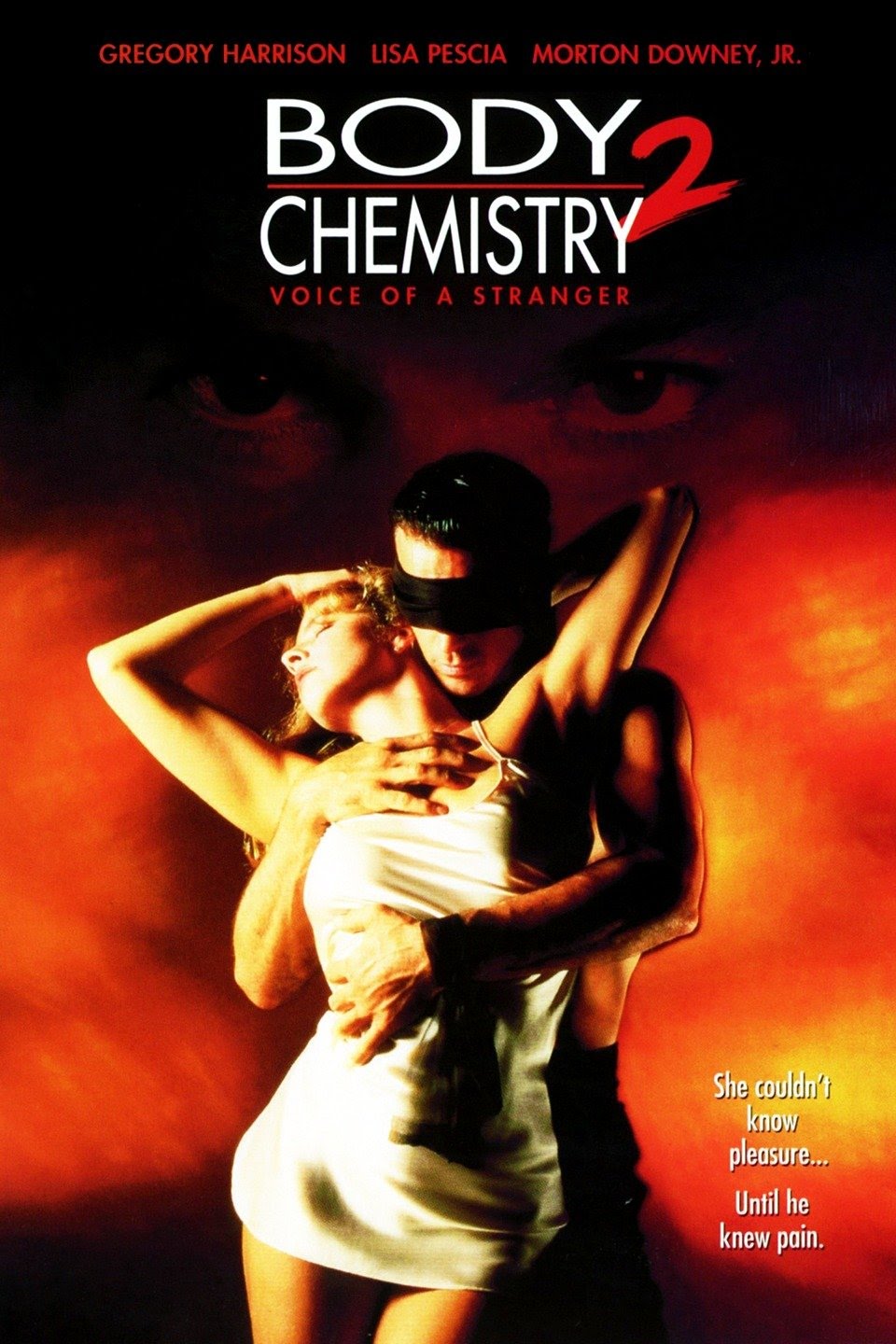 Download Body Chemistry 2 (1991) UNRATED DVDRip [In English] Erotic Movie 720p