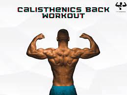 calisthenics back workout for a wide