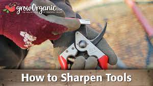 sharpening tools pruners loppers