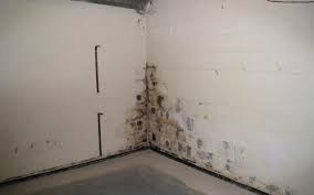 Simple Preventative Tips To Keep Mold